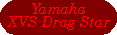 Taste Drag Star